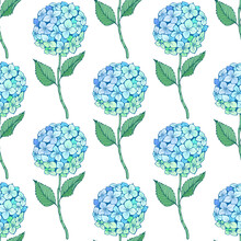 Hydrangea Flower Seamless Pattern. Blue Green Petals, Stem And Leaves On White. Vector Texture For Print, Fabric, Textile, Wallpaper.