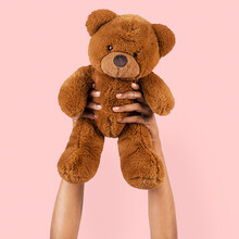 Teddy bear toy held by a hand for kids