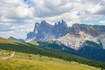 Wall Mural - alps meadow with mountain peaks
