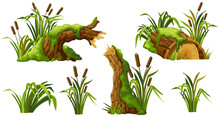 Stump In Moss With Reeds. Cartoon Log, Cattail In Swamp Jungle. Broken Tree In Fungus And Bulrush. Isolated Vector Element On White Background.