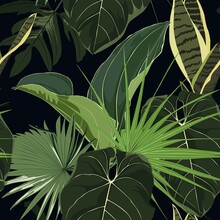 Floral Seamless Pattern, Tropical  Plants And Leaves, Exotic Fan Palm On Black Background.