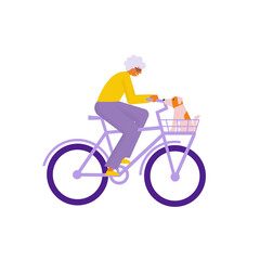 Wall Mural - Elderly woman riding cargo bike with basket. Grandmother carries her dog in bicycle. Flat vector illustration