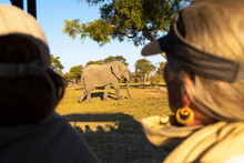 Passengers In A Safari Jeep Observing A Large Elephant Walking Near The Vehicle.
