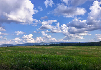 field and blue sky