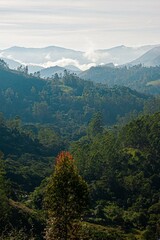 Mountains Landscape 2