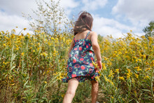 Little Girl Walks Up Hill Through Tall Yellow Wildflowers In Summer
