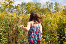 Little Girl Walks Through Tall Field Of Wildflowers In Windy Day