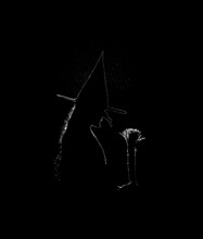 Black And White Rim Light Silhouette Of A Woman In A Witch Costume.t