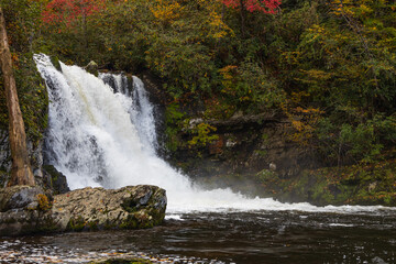 Wall Mural - Abrams Falls with fall foliage background in Great Smoky Mountains National Park, Tennessee