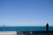 © ruslanshug - meditation solitude concept of one lonely man and alone bird dove on sea promenade with copy space
