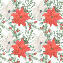 Watercolor Painting Seamless Pattern With Red White Poinsettia Flowers And Yew Berry