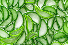 Aloe Vera Closeup.aloe Vera Slice Top View Texture Background. Aloevera Plant, Natural Organic Renewal Cosmetics, Alternative Medicine.Aloe Leaf Slices With Drops