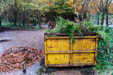 Wall Mural - Big size metal skip in a park for fallen leaf and rubbish removal. Heavy industrial container to collect debris from a forest park on a specially designated area. Fall autumn season.