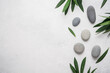 Spa stone light gray background with green plant leaves and zen pebble stone. Top view, copy space