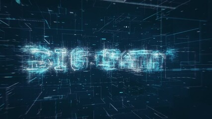 Wall Mural - big data title key word build up animation on a binary code digital network background
