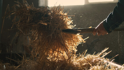 Crop man throwing hay for goats