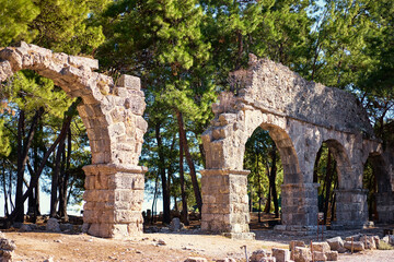 Wall Mural - Travel and architecture. Ancient aqueduct in antique town Phaselis, Turkey.