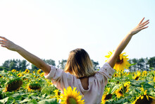 A Slender Woman In A Light Linen Shirt Stands With Her Back In A Field Of Sunflowers And Spread Her Arms Out To The Sides. Field With Ripe Yellow Sunflowers. Summer Landscape.