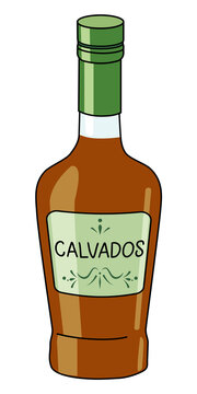 classic calvados french apple brandy in a bottle. doodle cartoon hipster style vector illustration i