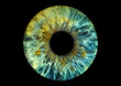 © chronos7 - Auge