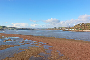 Wall Mural - River Teign at low tide	