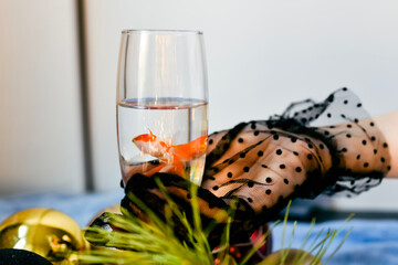 hand dressed in black gloves handle the glass with gold fish