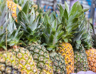 Wall Mural - pineapple fruit