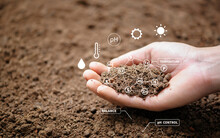 Top View Of Soil In Hands For Check The Quality Of The Soil For Control Soil Quality Before Seed Plant. Future Agriculture Concept. Smart Farming, Using Modern Technologies In Agriculture.