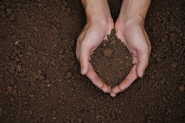 Top view of soil in hands for check the quality of the soil for control soil quality before seed plant. Future agriculture concept. Smart farming, using modern technologies in agriculture.