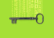 secure internet computer key icon with a circuit board illustration 