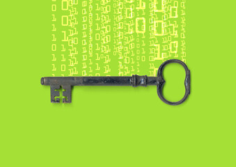 Wall Mural - secure internet computer key icon with a circuit board illustration 