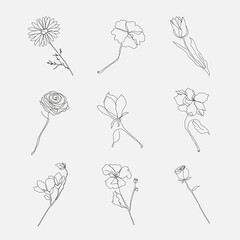 Wall Mural - Flower hand drawn vector set black single line art