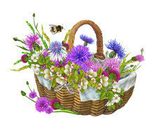 Basket With A Bouquet Of Wildflowers Illustration On An Isolated White Background