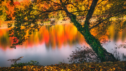  river autumn reflections colors