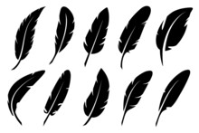 Feathers Isolated On White. Collection Of Vector Feather Black Silhouettes.