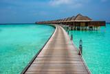 Fototapeta Do akwarium - Maldives Islands Ocean Tropical Beach