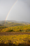 Fototapeta Tęcza - Amazing rainbow sparkling out in a rainy day in autumn foliage countryside landscape made of vineyards and forests in Chianti, Tuscany, central Italy.