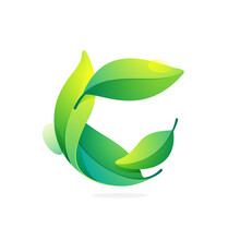 Eco Circle Logo. Green Leaves Sphere Icon.