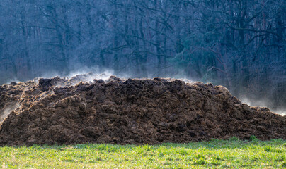 A pile of cow dung as a symbol of methane pollution of the atmosphere. The strongest greenhouse gas leading to climate change