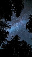 Wall Mural - looking up on milky way galaxy stars in dark forest silhouette vertical astronomy time lapse backgro