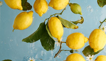 Yellow Ripe Lemons With Leaves And Chamomilein  Flowers Water On Blue Background. Food Photo Pattern. Natural Colors