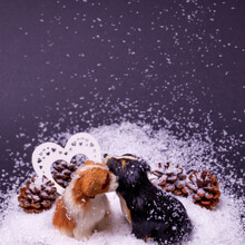 Figures Of Two Dogs Sitting In The Snow, Falling Snowflakes, Pine Cone Behind Them, On A Dark Background. Text Space. Dog Paws, Valentine's Day, Romance, Friendship, Love Concept. Minimal Style.
