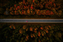 Aerial View Of Thick Forest In Autumn With Road Cutting Through