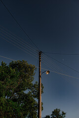 power line