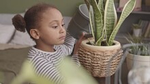 Slowmo Shot Of Little African-American Girl Watering Potted Plants At Cozy Home