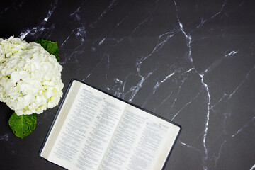 White hydrangea with open bible on black marble background. 