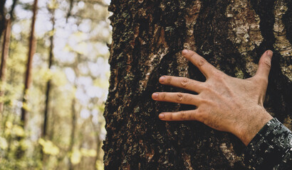 Wall Mural - Hand touch the tree trunk. Man hand touches a pine tree trunk, close-up. Human hand touches a tree trunk. Bark wood. Wild forest travel. Ecology - a energy forest nature concept..