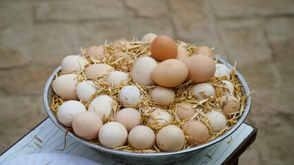 3 June World egg day,  eggs collection desi hen eggs, Eggs isolated