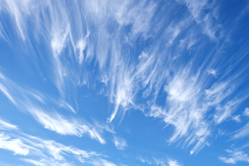 Fluffy clouds in the blue sky