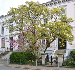 Wall Mural - Frühling in der Hanse Stadt Bremen, Deutschland